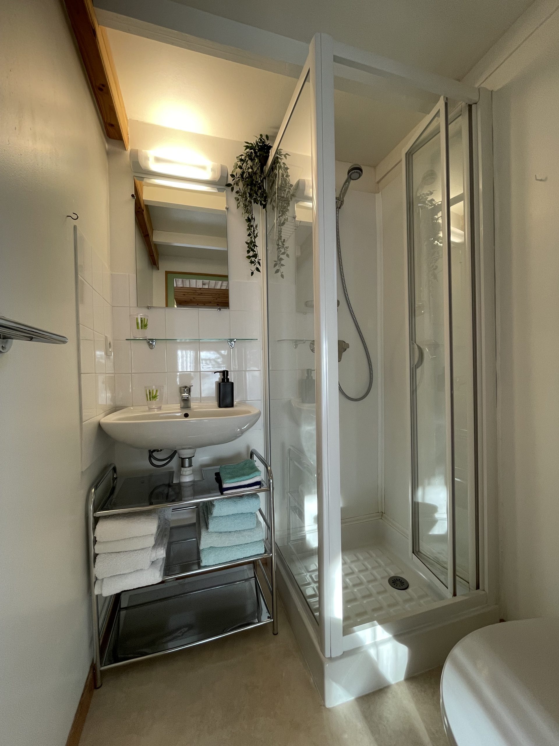 Gîte Chalet Drôme provençale. Salle de douche avec WC